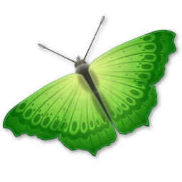 Butterfly-256