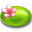 Plate Flower-32