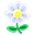 White Flower-32