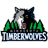 Minnesota Timberwolves-48