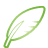 Quill green
