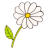 Flower-48