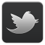Twitter Grey icon