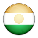 Flag of Niger-128
