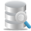 Search database icon