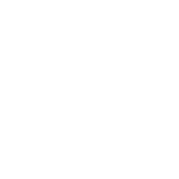 Metro Camera3
