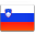 Slovenia Flag-32