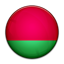 Flag of Belarus icon
