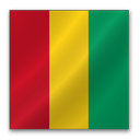 Guinea Flag-128