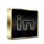 Linkedin Black and Gold icon