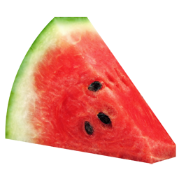Watermelon-256