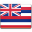 Hawaii Flag-32