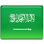 Saudi Arabia Flag-64