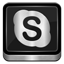 Skype Metallic Icon