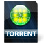 Torrent File icon