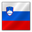 Slovenia flag-32