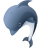 Dolphin-48