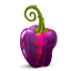 Pepper 16 icon