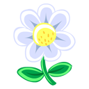 White Flower-128