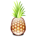 Pineapple-128