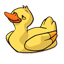 Duck-64