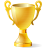 Award Cup icon