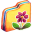 Flower Folder-32