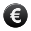 currency black euro Icon