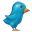 Painted Twitter Bird-32