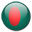 Bangladesh Flag-32