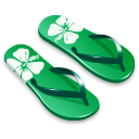 Green slipper