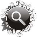 Search magnifier