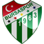 BursaSpor Icon