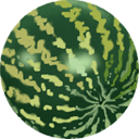 Water Melon-128