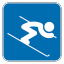 Alpine Skiing Icon