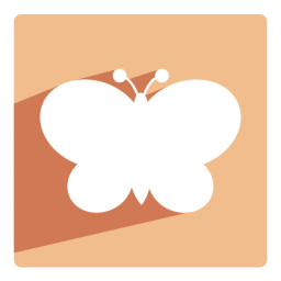 Butterfly-256