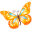 Butterfly Orange-32