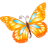 Butterfly Orange-48