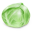 Cabbage-32