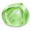 Cabbage-64
