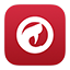 Comodo Dragon iOS7 icon