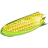 Corn-48