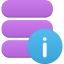 Data Info icon