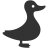 Duck-48