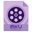 File Mkv Icon