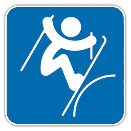 Freestyle Skiing Slopestyle-256