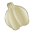 Garlic-32