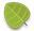 Green Leaf-32