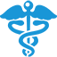 Health Sign blue Icon