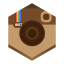 Instagram Alt Icon